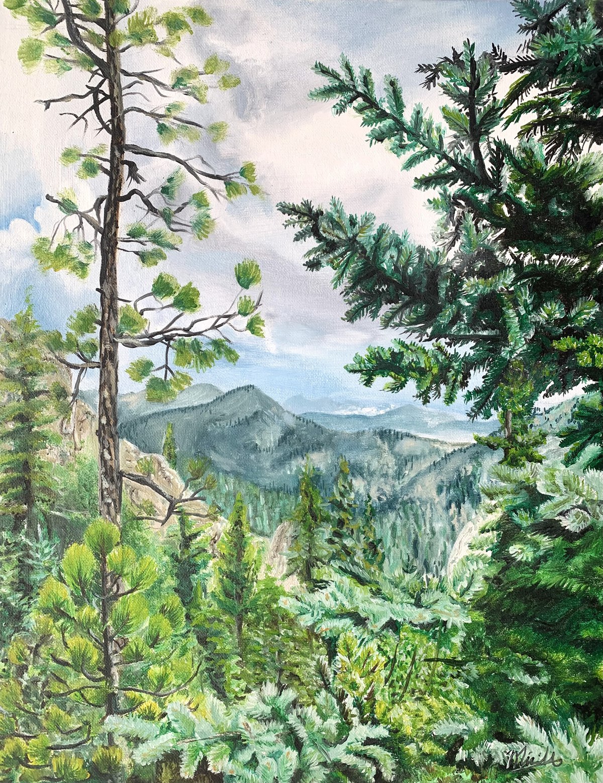 Black Hills South Dakota landscape painting