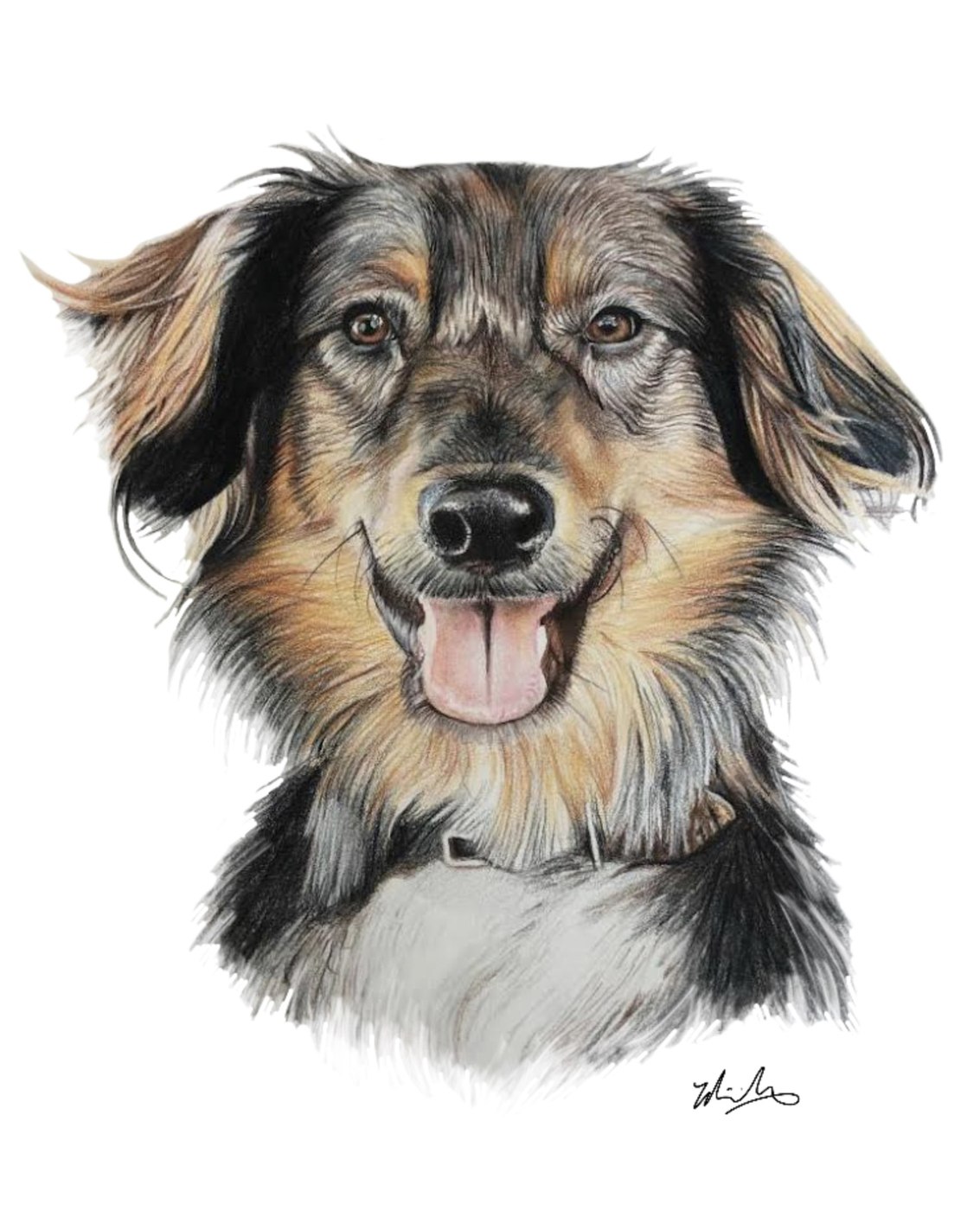 Shaggy shepherd mix dog pet portrait drawing